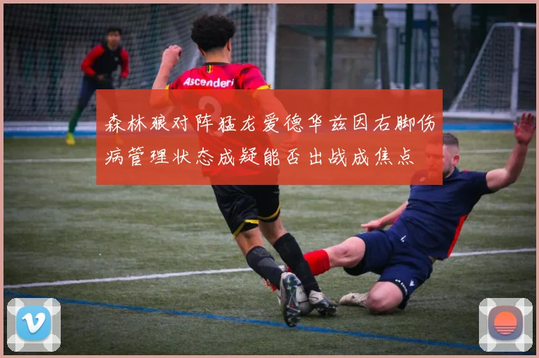 森林狼对阵猛龙爱德华兹因右脚伤病管理状态成疑能否出战成焦点